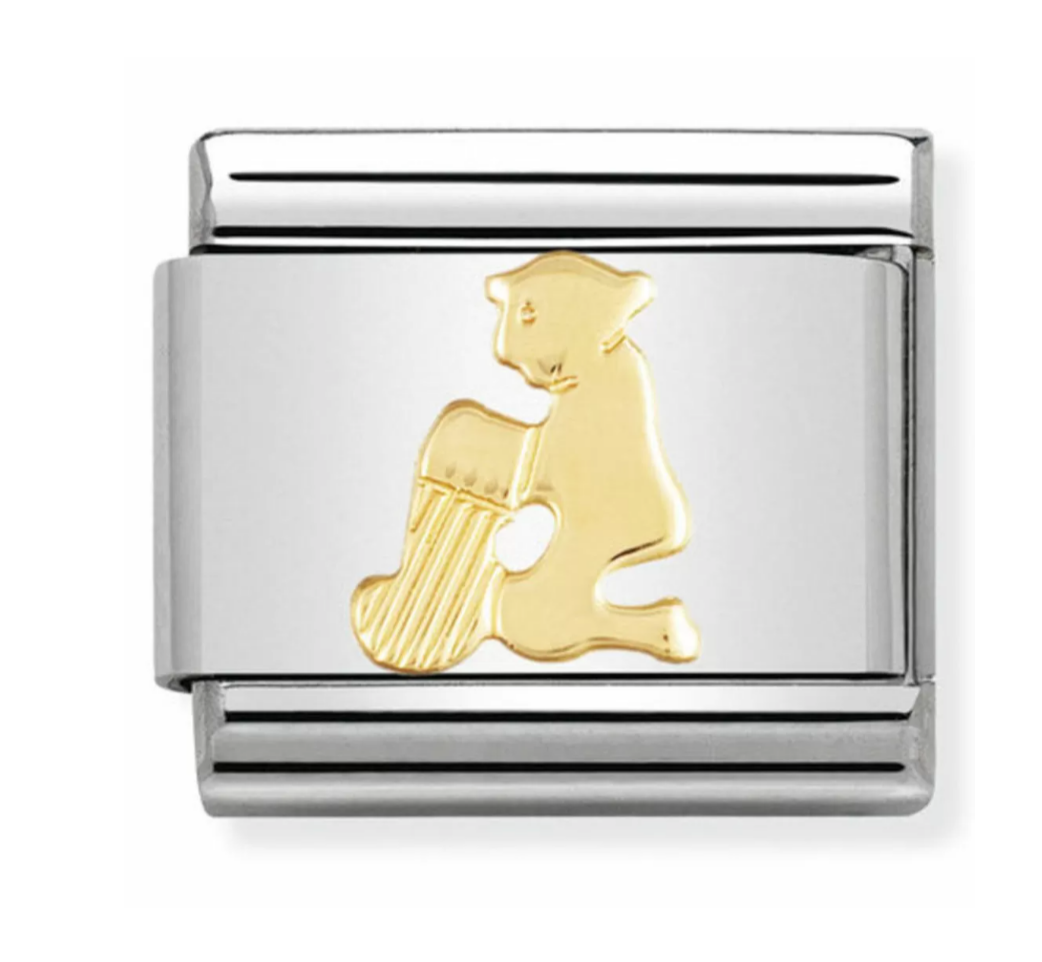 Nomimation zodiac plain gold aquarius