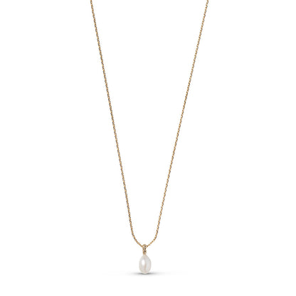 Significant Gold/Pearl Necklace