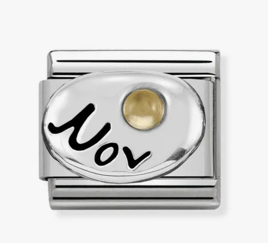 Nomimation silver November birthstone